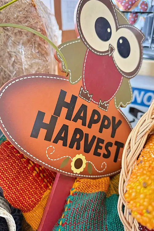 Fall harvest decorations and seasonal home décor available at Value Village Thrift Store.